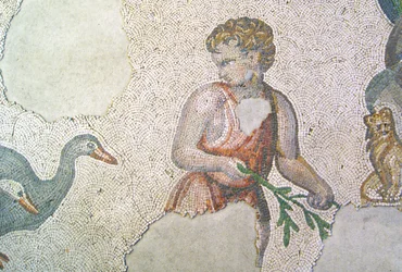 Immagine sconosciuta