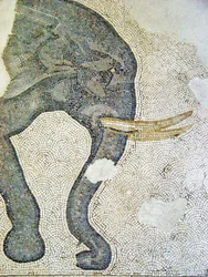 Immagine sconosciuta