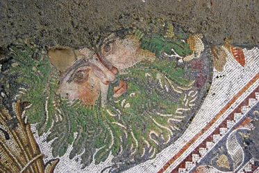 Immagine sconosciuta