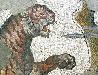Immagine sconosciuta