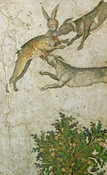 Immagine sconosciuta