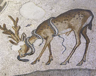 Immagine sconosciuta