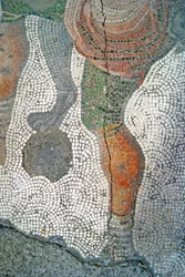 Immagine sconosciuta