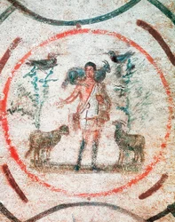 Immagine sconosciuta