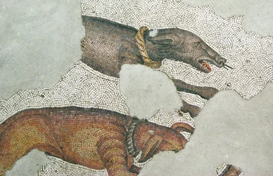 Immagine sconosciuta
