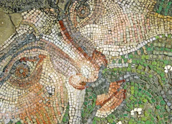 Immagine sconosciuta