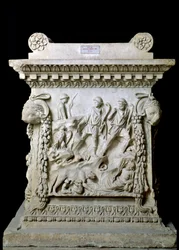 Immagine sconosciuta