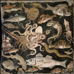 Creature sottomarine, copia di un originale ellenistico (mosaico)