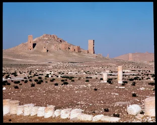 Veduta delle tombe a torre di Iamblichus ed Elahbel