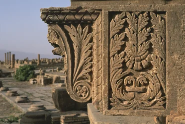 Frammento Architettonico con Decorazione Intagliata, Mercato di Sertius, Alto Periodo Imperiale (27 a.C.-395 d.C.)
