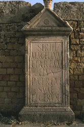 Stele con iscrizione sul mercato di Sertius, Alto Impero
