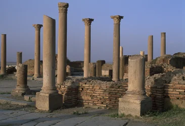 Vista della Biblioteca, c.100 d.C., Periodo Alto Imperiale (27 a.C.-395 d.C.)