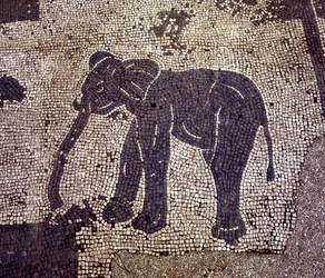 Antica Ostia. Piazza delle Corporazioni. Mosaico della Corporazione dei Naviganti di Sabratha