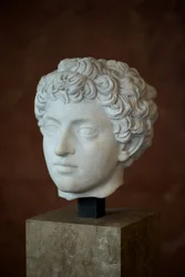 Testa dell