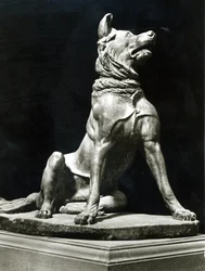 Cane Bull Mastif