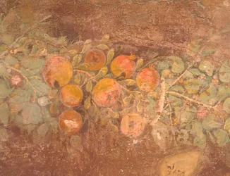 (dettaglio) Affresco con decorazione di fiori e frutta dalla Villa Romana di Boscoreale (Napoli), Civiltà Romana