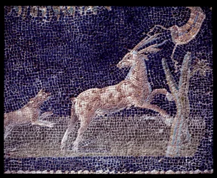Dettaglio dei mosaici murali del ninfeo della casa di Nettuno e Anfitrite, V secolo a.C.-I secolo d.C.