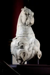Parte anteriore di un cavallo (marmo)