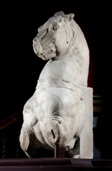 Parte anteriore di un cavallo (marmo)