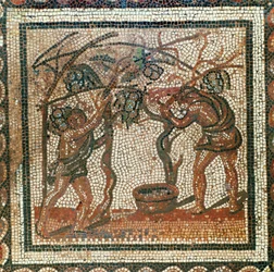 Raccolta dell