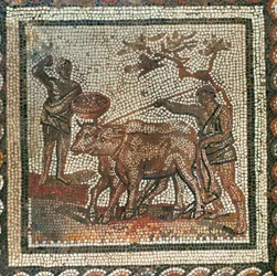 Aratura e semina. Mosaico (mosaico)