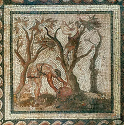 Lavoratori che raccolgono mele (mosaico)
