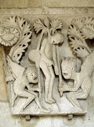 Immagine sconosciuta