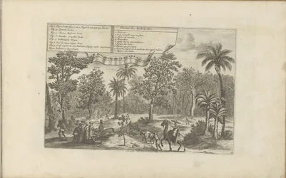 Alberi e spezie