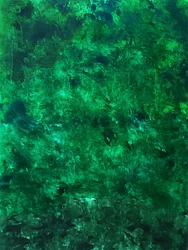 Una texture di un verde intenso