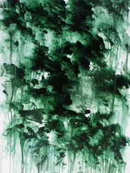Foresta verde nebbiosa