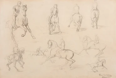 Studi di un cavallo e cavaliere