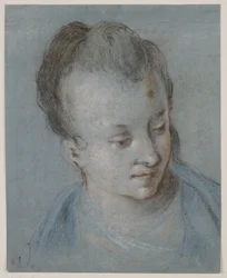 Testa di donna girata a destra