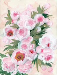 Fiori di peonia dai colori tenui