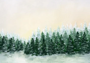 Foresta invernale brinata