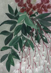 Foglie verdi, fiori bianchi