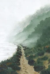 Sentiero costiero nella nebbia