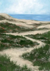 Sentiero costiero tortuoso