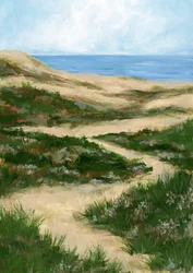 Sentiero tortuoso tra le dune