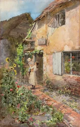 Il Merlo