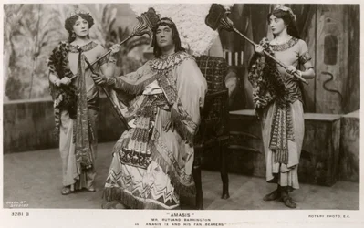 Membri del cast di Amasis
