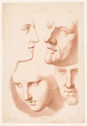 Teste di uomo e donna