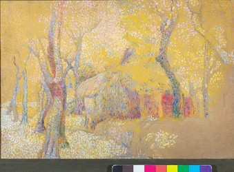 Fienile tra gli alberi
