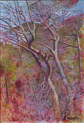 Paesaggio, Studio