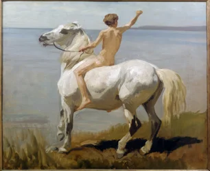 Ragazzo su cavallo bianco