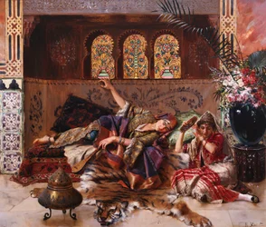 Nel harem