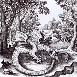 Un drago nella foresta, da 