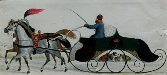 Slitta trainata da cavalli (dettaglio)
