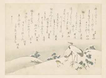 Poesie e gru