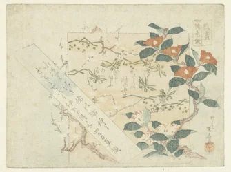 Fogli di poesia