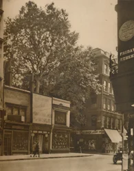 Un favorito abitante della città: il platano a Cheapside, c1935